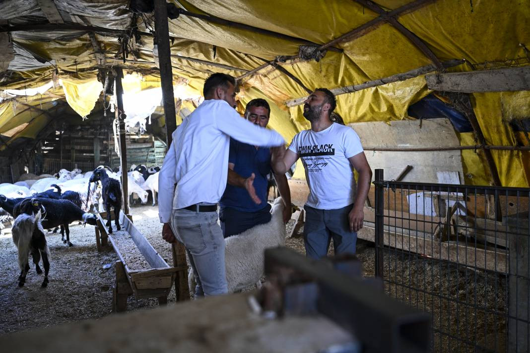 Besiciler kurban pazarlarından ayrılmaya başladı - Resim: 1